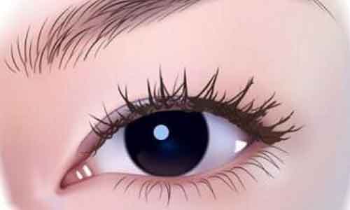 美莱20周年童梦盛典成功举办