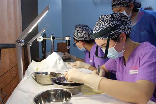 美莱20周年童梦盛典成功举办