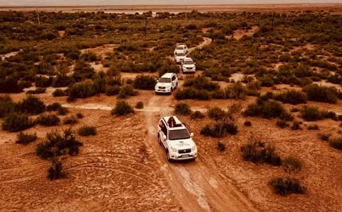 眼袋很深怎么才能有效的去除啊