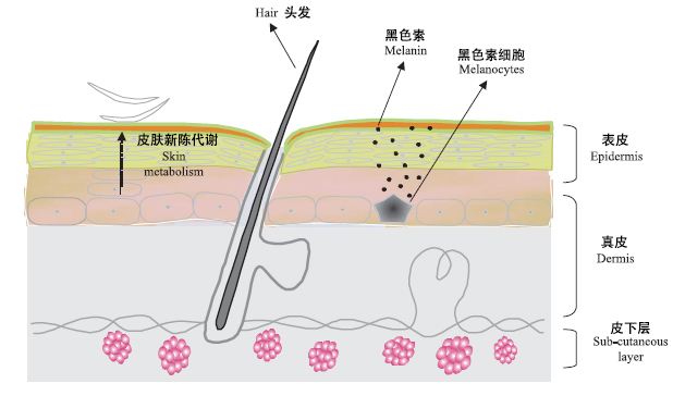 上海美莱做激光祛痘都有哪些优势