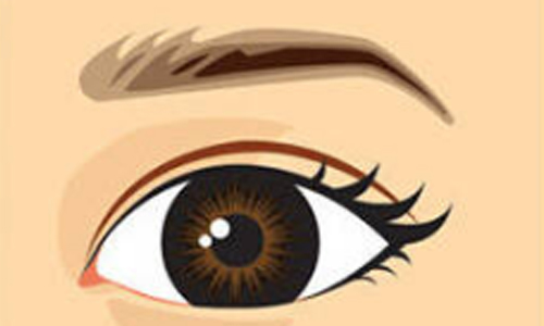 美莱被授予“2018年度好伙伴”荣誉