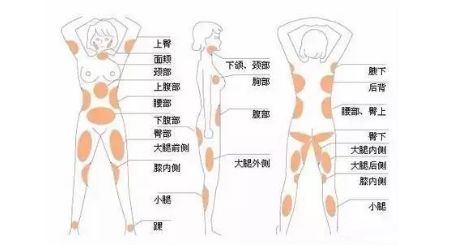 上海美莱自体脂肪填充移植，您是不是入坑了呢