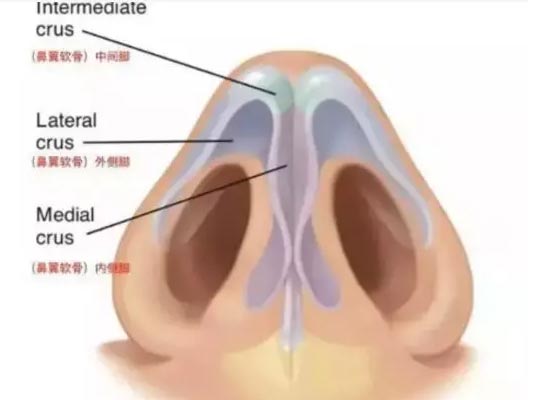 上海注射隆鼻能保持多久,能保持一年时间吗?