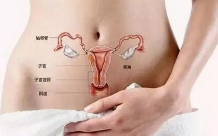 美莱定制双眼皮案例+吴海龙