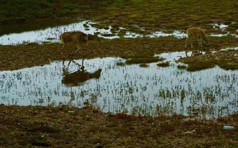现在在上海做开眼角大概要多少钱
