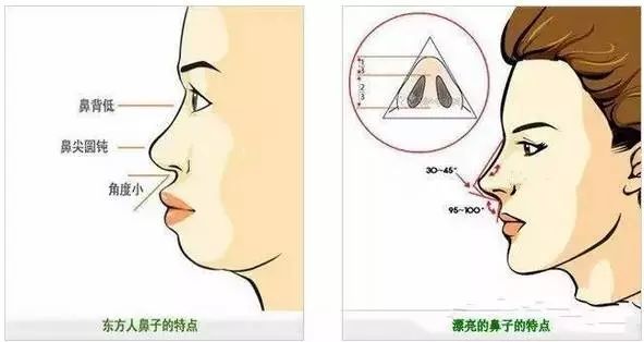 鼻头缩小手术上海做价格多少钱
