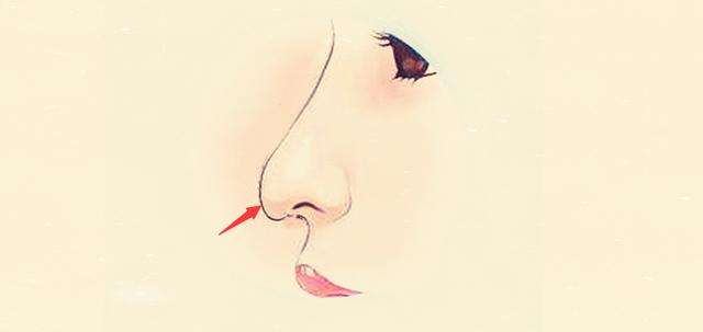 上海鼻尖手术价格大概是多少呢?