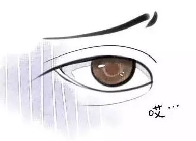 鼻翼的作用是什么?标准鼻翼是怎样的呢?