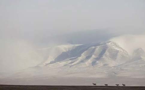 阳光对皮肤的伤害有多大?美莱科普!