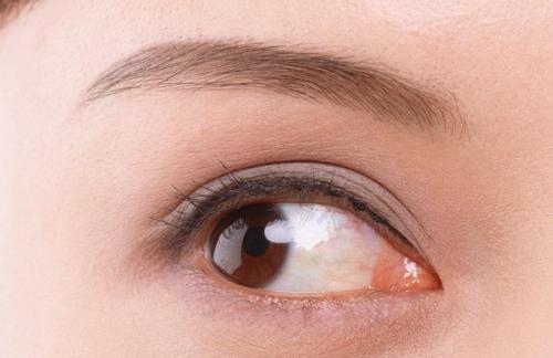 上海美莱第二届娜女郎模特案例0元招募中...