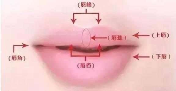 上海玻尿酸隆鼻可以维持多久