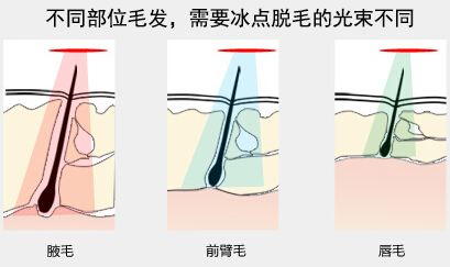 上海口腔医院做洗牙洁牙要多少钱