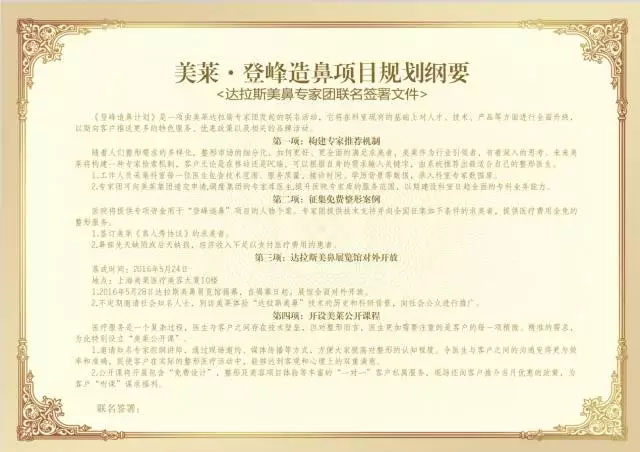 美莱“登峰造鼻”项目规划纲要